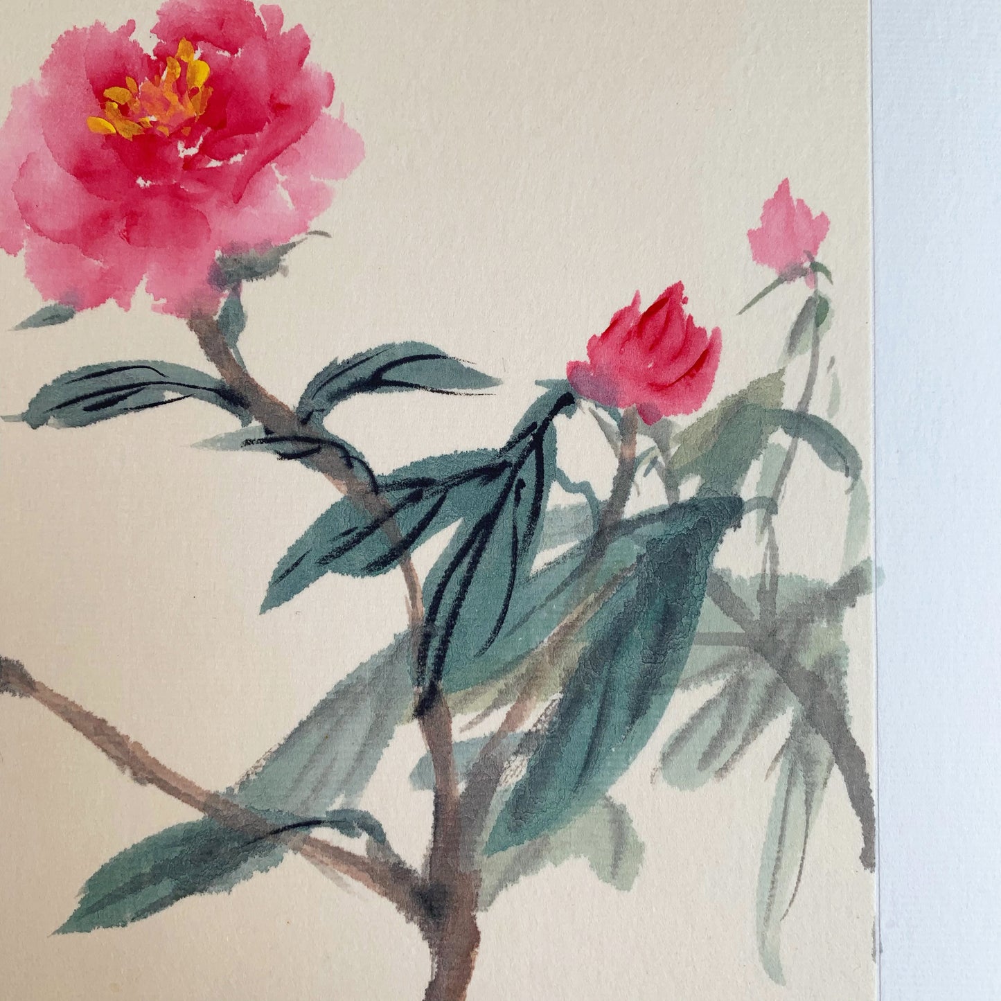 Peony Flowers Ink Brush Painting