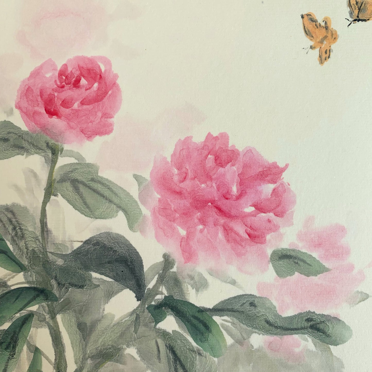 Peony Flowers Ink Painting